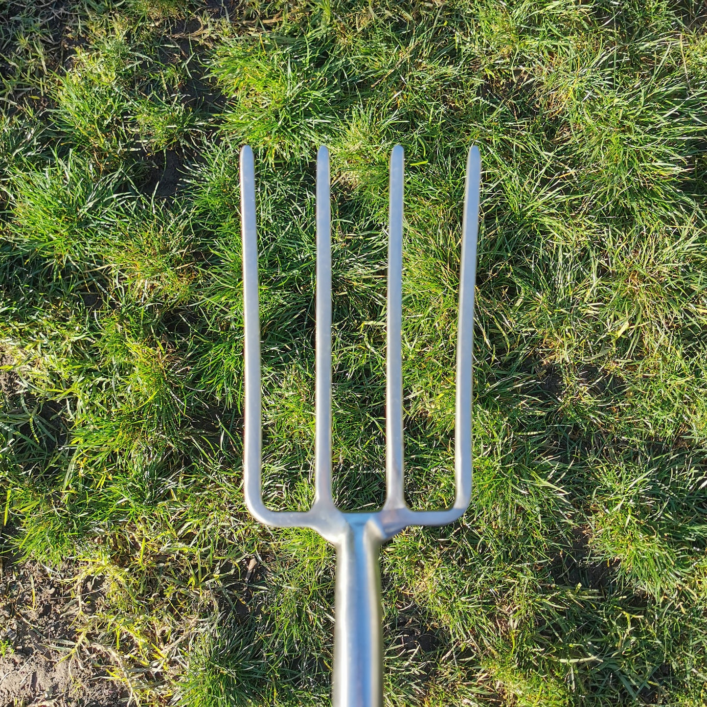 Border Fork