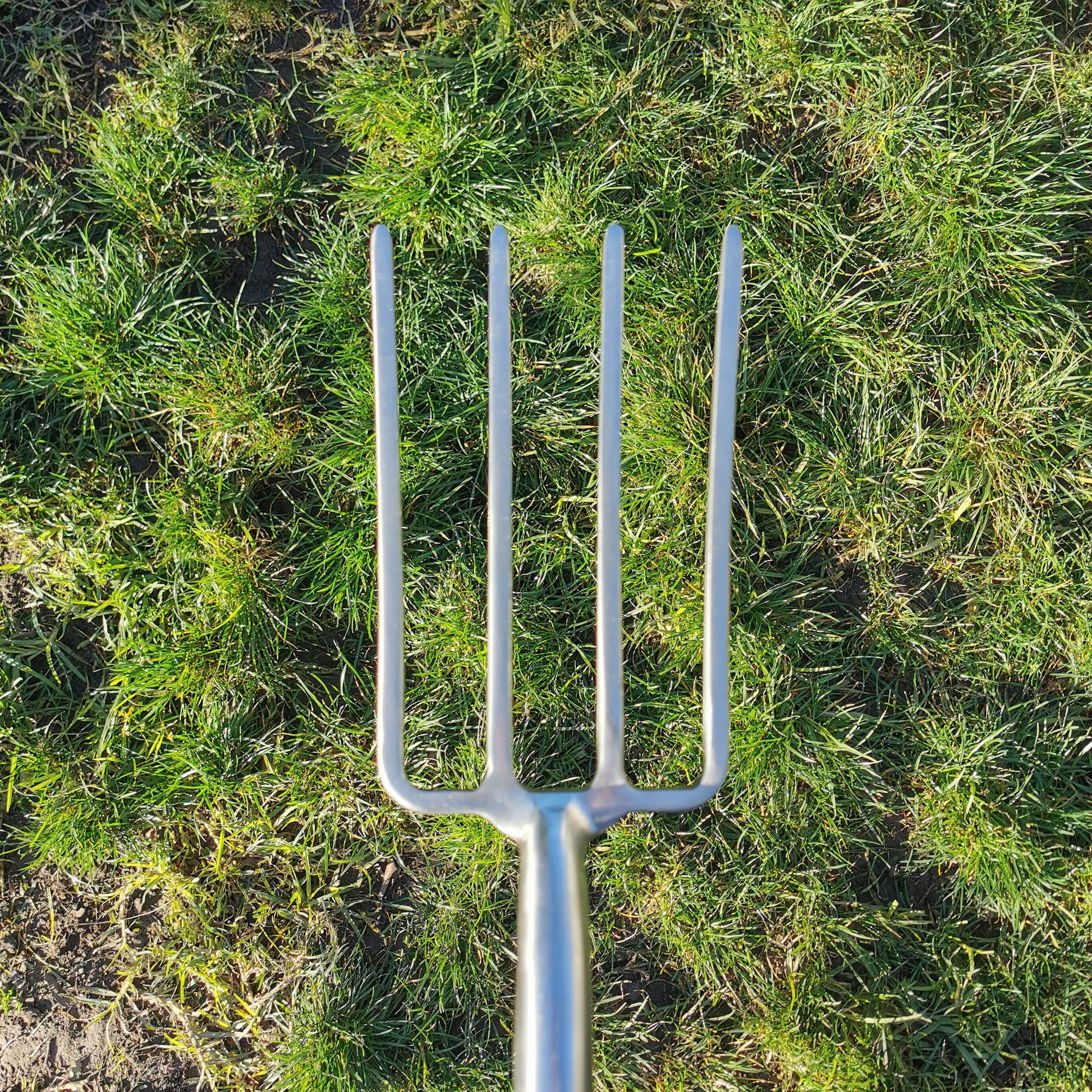 Border Fork