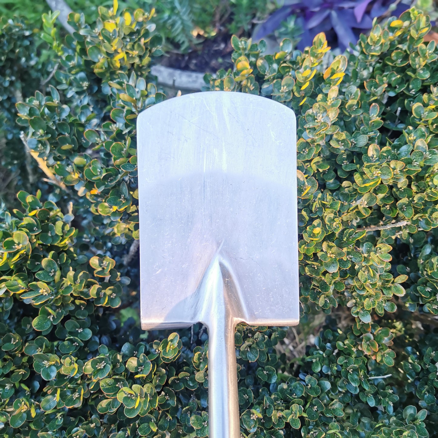 Stainless Steel Kids Spade