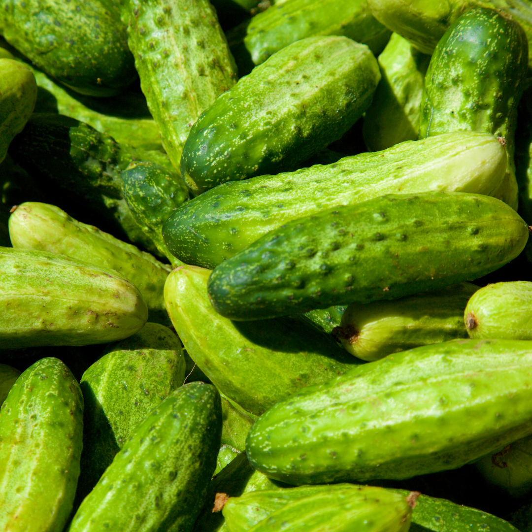 Cucumber Seeds (German Pickling)