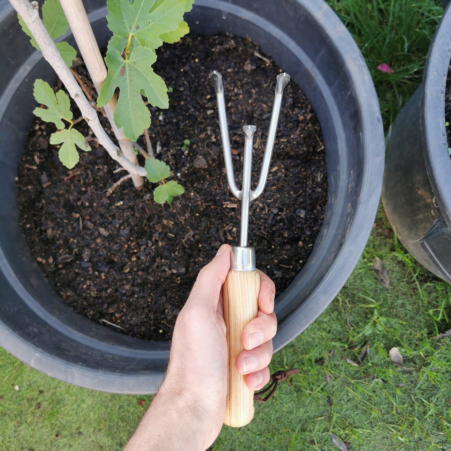 hand cultivator in use