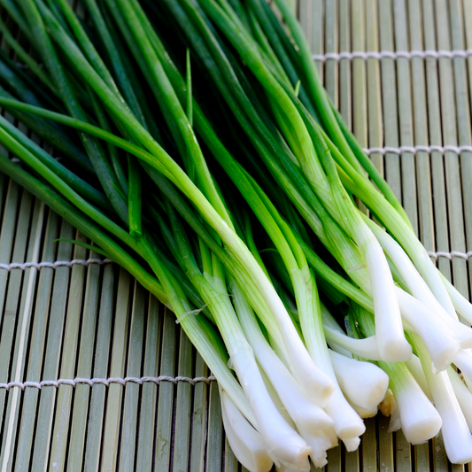 Shallot Seeds (Evergreen Bunching Nebuka)