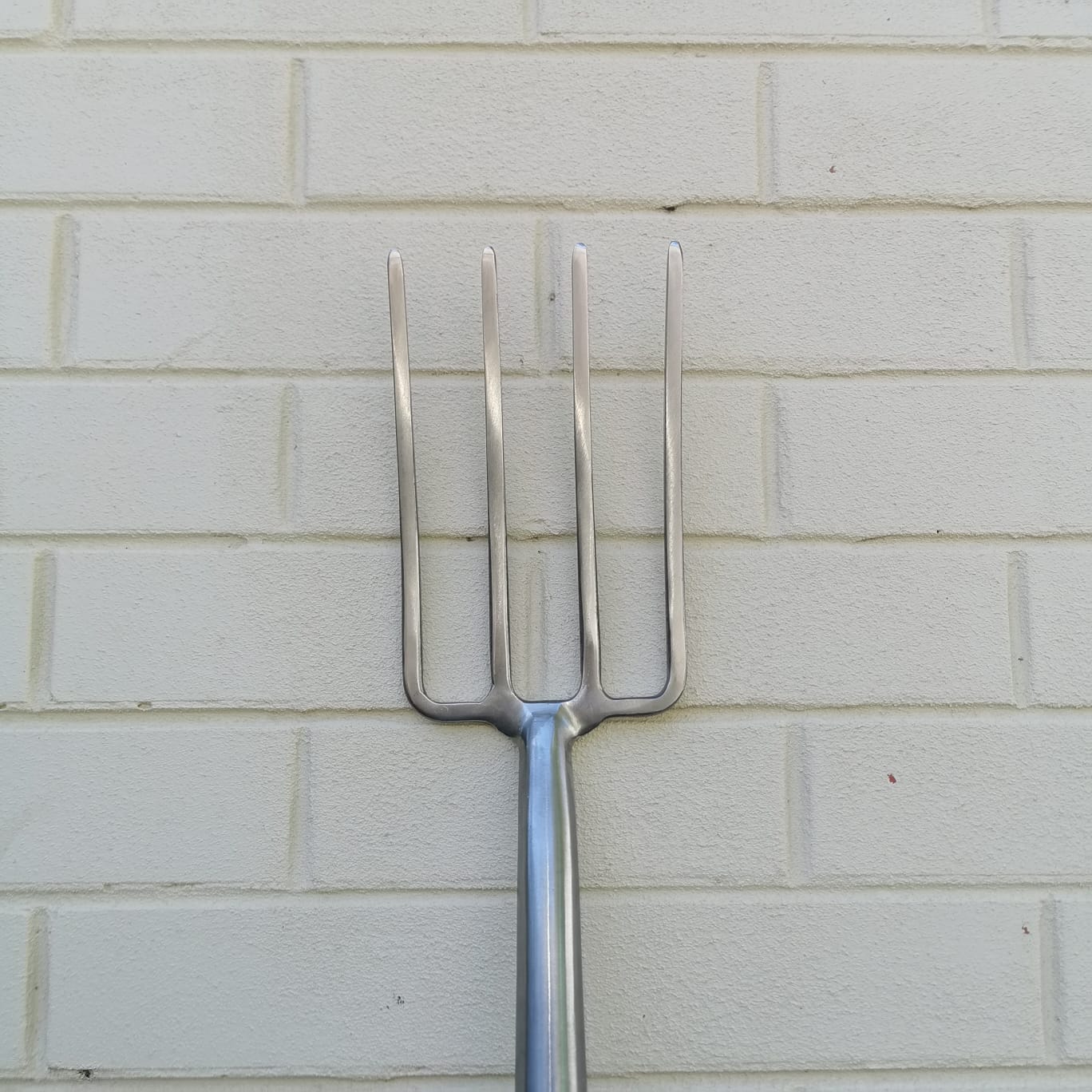 Border Fork