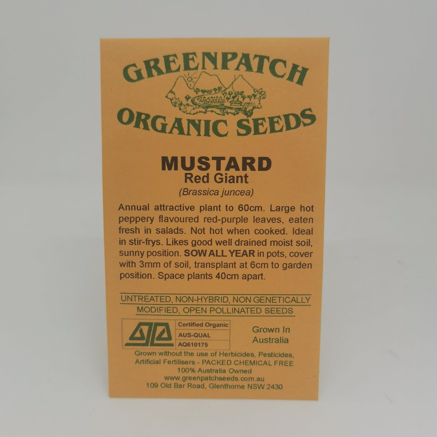 Mustard (Red Giant) Seeds