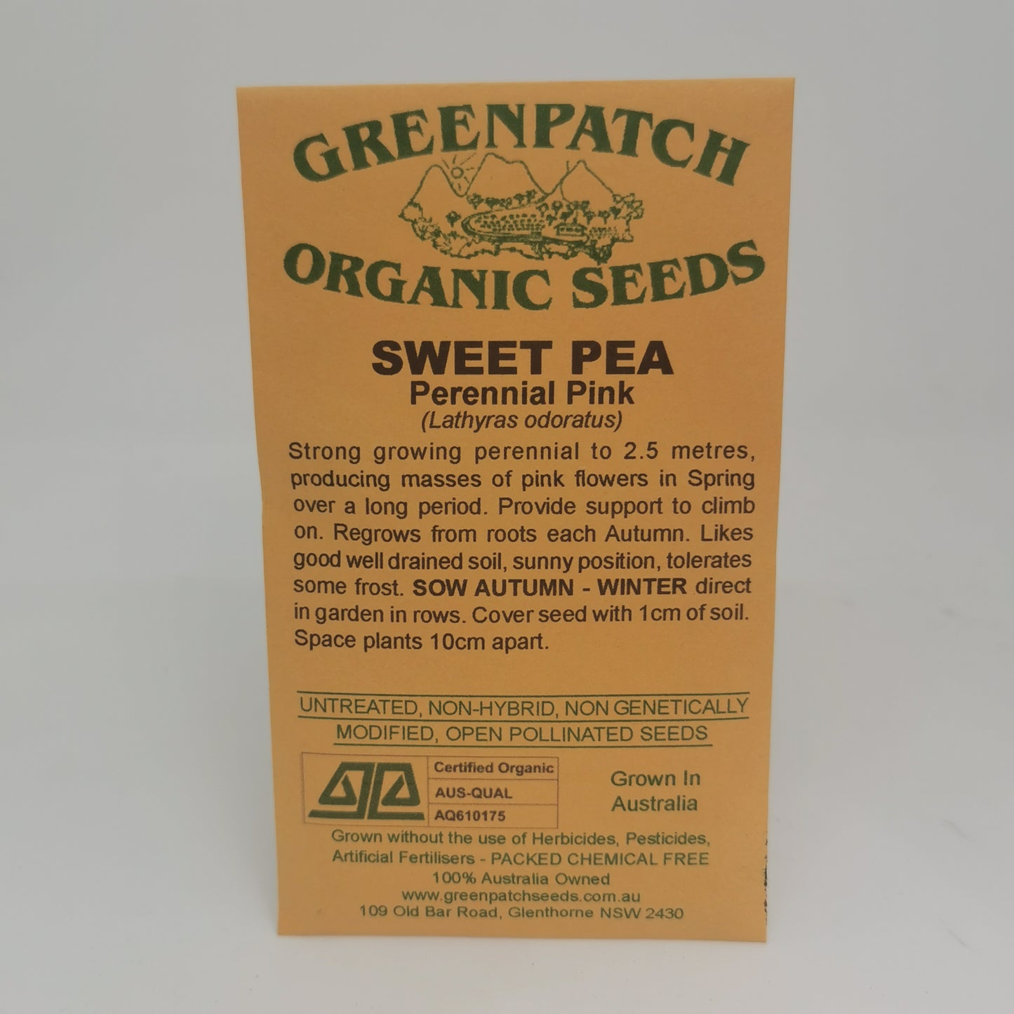 Sweet Pea (Perennial Pink) Seeds