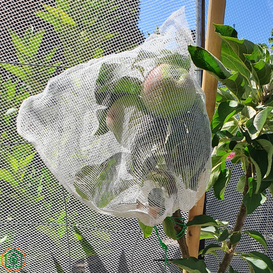 Fruit Protection Bags