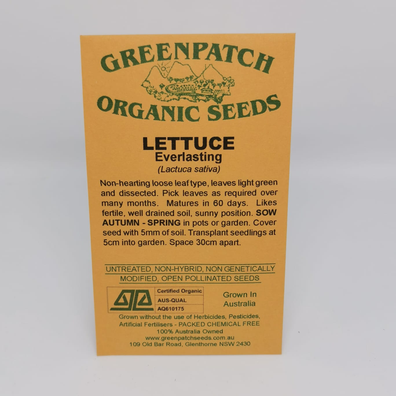 Lettuce (Everlasting) Seeds