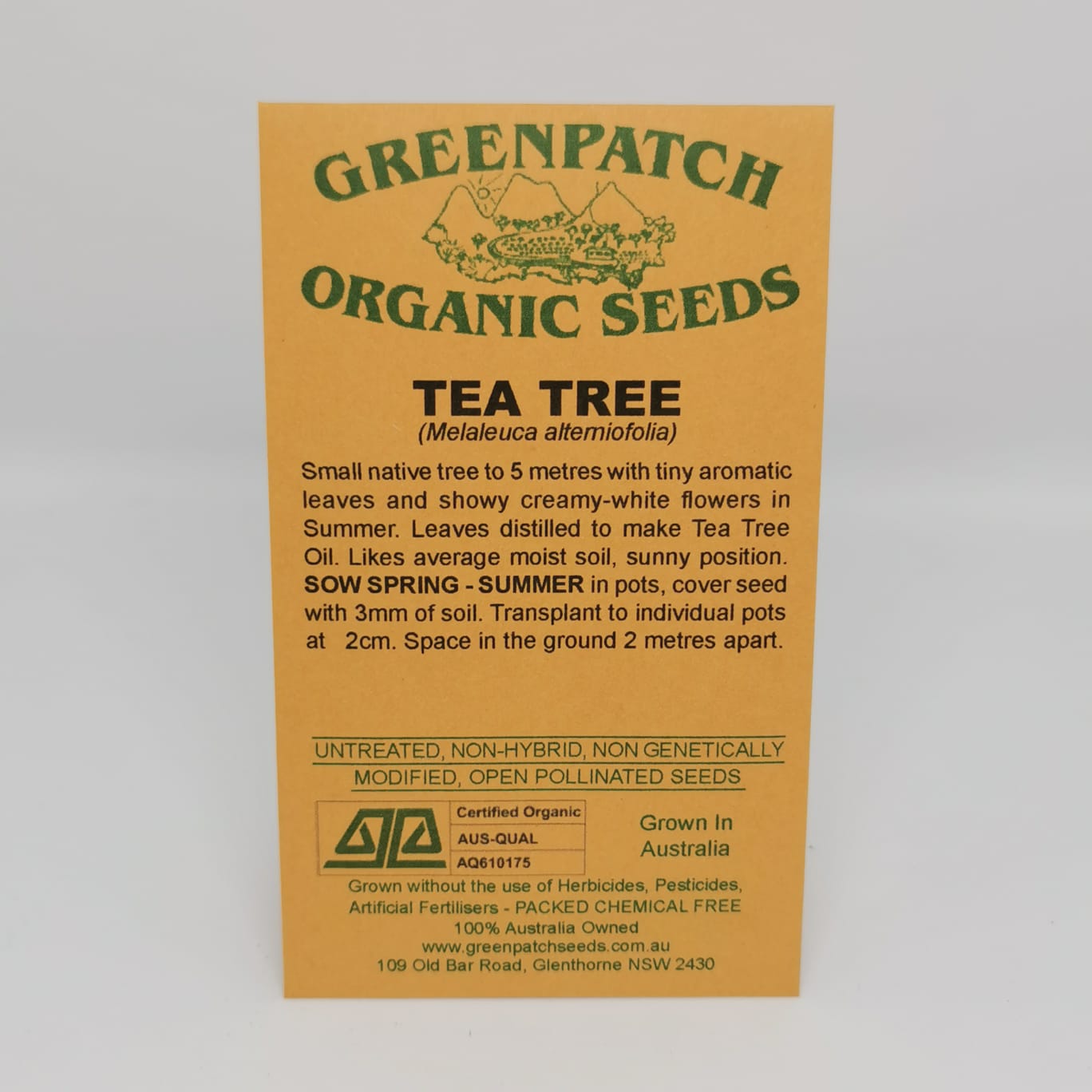 Lemon Scented Tea Tree Seeds